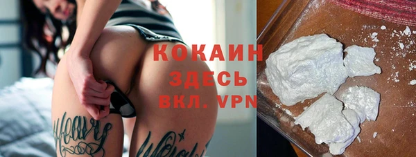 молекула духа Михайлов